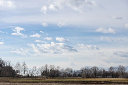 A beautiful view of a field with trees under the blue sky