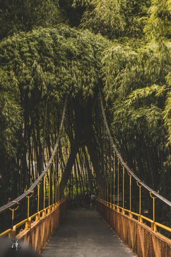 Fotografía tomada en el parque del café, Colombia
