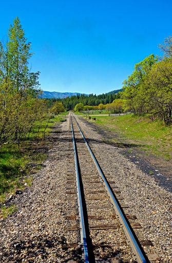 A vertical shot of a railroad surrounded by amazing nature