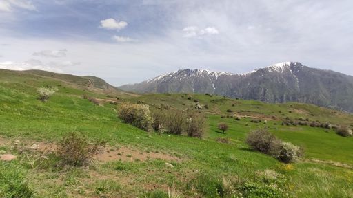 A beautiful shot of  a green meadow at foothill
