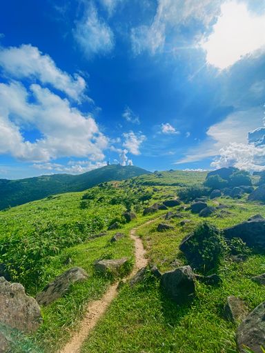 A vertical shot of a path in the field on the mountain peak.