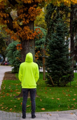 A young man stands back looking up to tree in a Urban Park in Europe