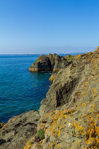 A vertical shot of rocky seashore under a blue sky