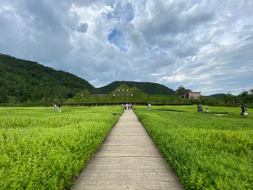 A scenic view of a path through the green field heading to the house with roof covered in grass