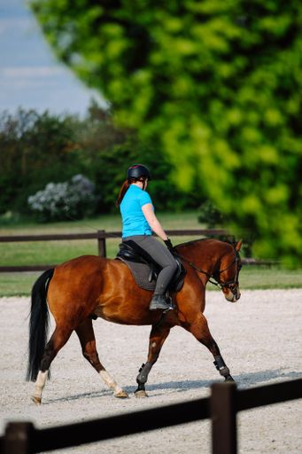 A vertical shot of a female rides a horse on the background of the forest
