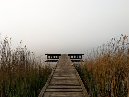 Wooden pontoon on a foggy Lake very early on the morning
