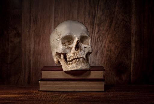 A closeup of an old skull on two crime books on the wooden shelf