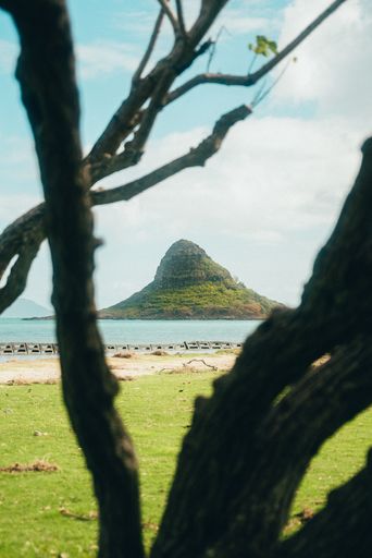 A vertical shot of Chinamen's Hat Mokoli Island in Oahu, Hawaii Through Trees