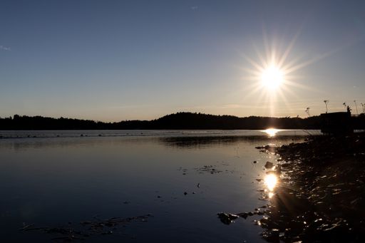 A beautiful day outdoors at a lake with the sun rays shining on it and lush greenery all around