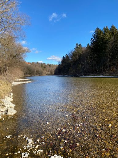 A vertical shot of the river with the dense trees on the shore.