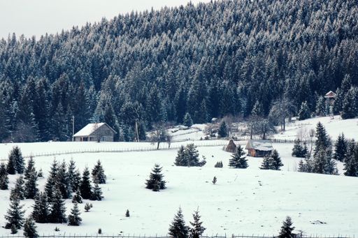 Some rural houses in a snowy field on the mountain