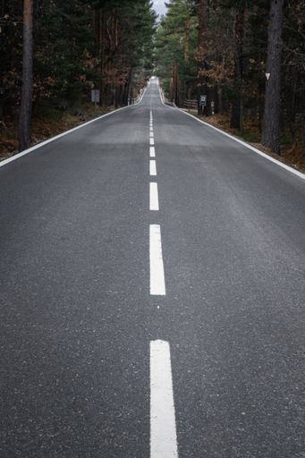 A vertical photo of a road in a forest