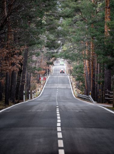 A vertical photo of a road in a forest