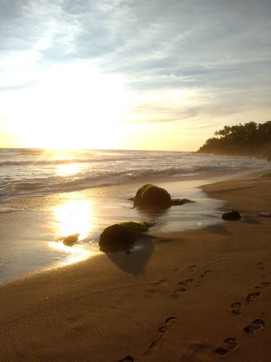 A vertical shot of a sandy beach in the evening with the sun shining brightly