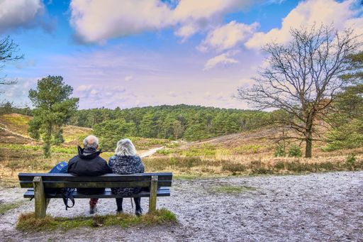 A back shot of old couple sits on a bench and enjoys the view in the brunssummerheide, Netherlands