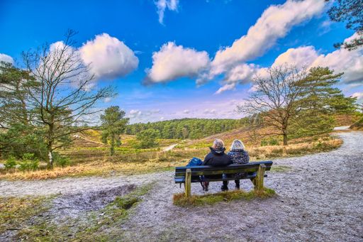 A back shot of old couple sits on a bench and enjoys the view in the brunssummerheide, Netherlands