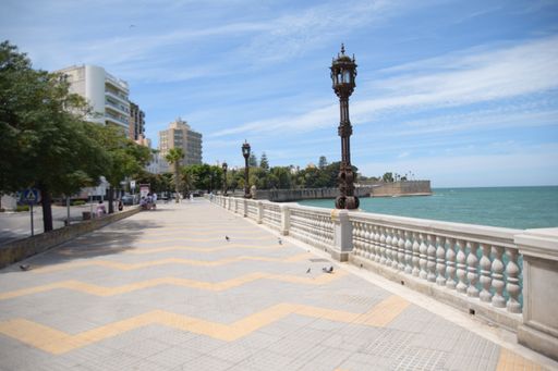 A beautiful shot of an empty street near the sea surrounded by trees and buildings