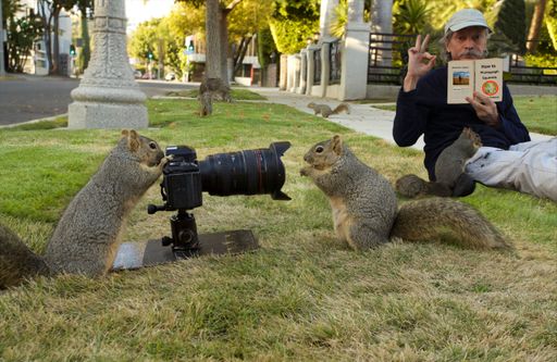Squirrels take pictures of themselves while a man studies a photography manual