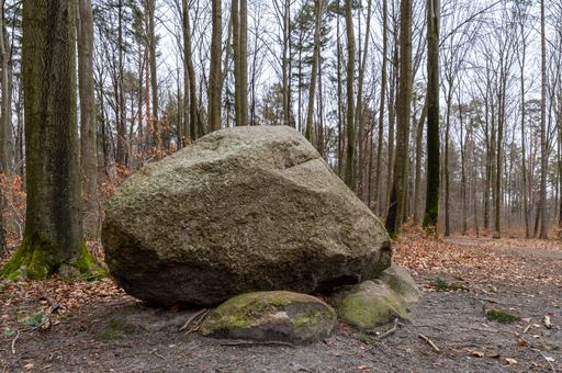 A closeup shot of a big boulder in a forest
