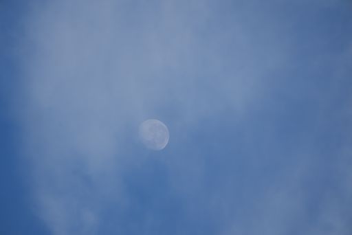 A vertical shot of the full moon in the sky during day.