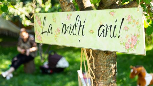 A selective focus shot of a birthday sign hanging from a tree with Romanian writing ''La Multi Ani-Happy Birthday''
