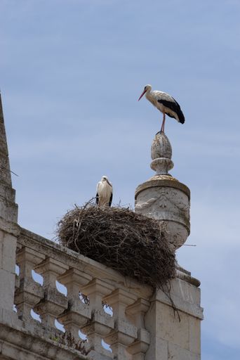 A vertical shot of two storks standing in their nest on a church