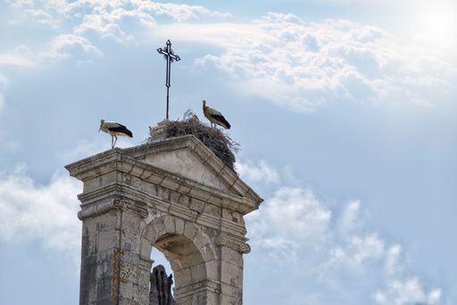 The two storks standing in their nest on a church