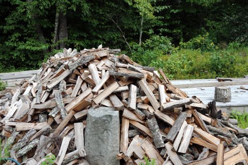 A view of a pile of birch firewood against the green trees and plants