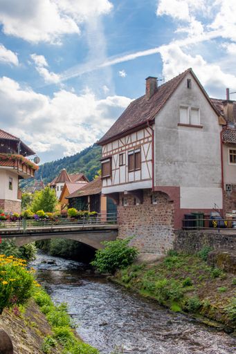 A vertical shot of old houses and bridge at the small river Steinach in Neckarsteinach, Germany