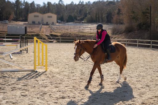 A girl during a horseback riding on a sunny day