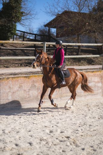 A vertical shot of a girl during horseback riding on a sunny day