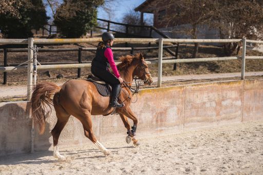 A girl during a horseback riding on a sunny day