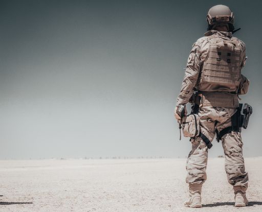 An amazing shot of a soldier on a grey sky background