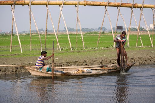 The some people fishing in the river. Bangladesh