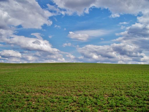 A beautiful shot of a green field during the day