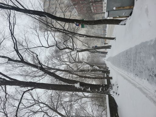 A vertical shot of a sidewalk covered in the snow in Central Park, New York City