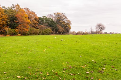 A beautiful view of a greenfield during autumn