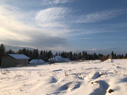 A beautiful view of large icy ground with rural houses and fur trees under a light cloudy sky