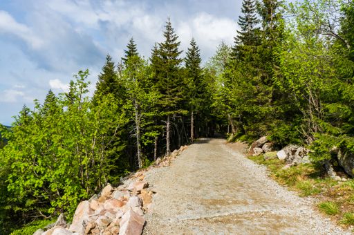 A beautiful landscape shot of a pathway  into the green vibrant forest surrounded by Karkonosze mountains in Poland