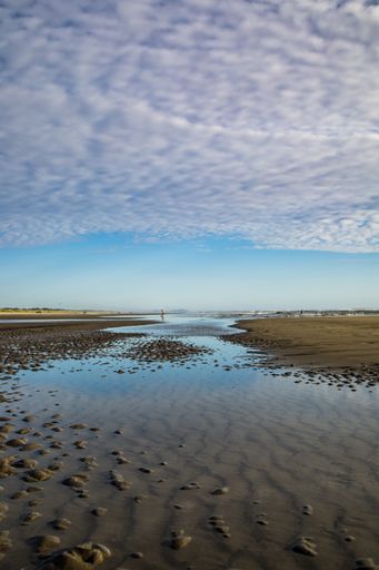 A vertical shot of wet ground under a cloudy sky