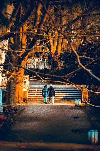 A back shot view of a couple walking in the park during autumn time on a sunny day