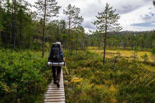 A beautiful view of a tourist on a road in a forest under the cloudy sky