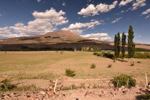 A beautiful landscape of a field with grass, plants and trees against mountain and blue cloudy sky on a sunny day