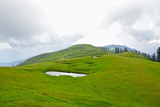 A scenic view of the green Tolipeer Meadows on the background of mountain forests, Pakistan