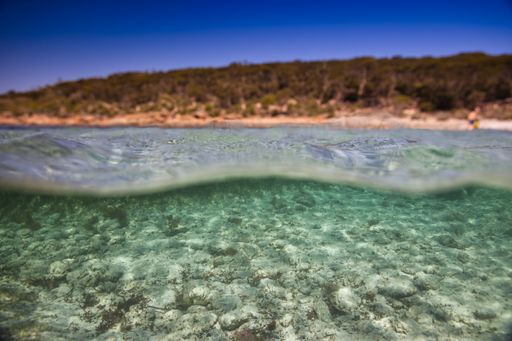 taken half underwater at Memory Cove, Lincoln National Park