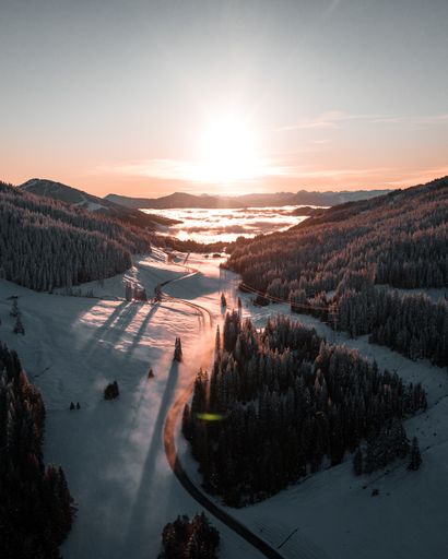 A vertical shot of a winter landscape with snowy forest
