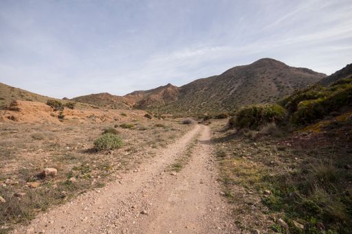 An aerial view of rocky road surrounded by mountains and growing bushes