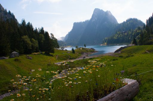 The beautiful green view of a mountain and field with lake de tanay in Vaud, Switzerland