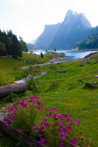 A vertical shot of a green view of a mountain and field with lake de tanay in Vaud, Switzerland