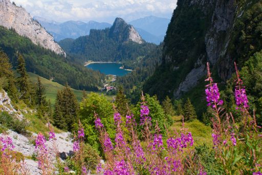 The beautiful green view of a mountain and field with lake de tanay in Vaud, Switzerland